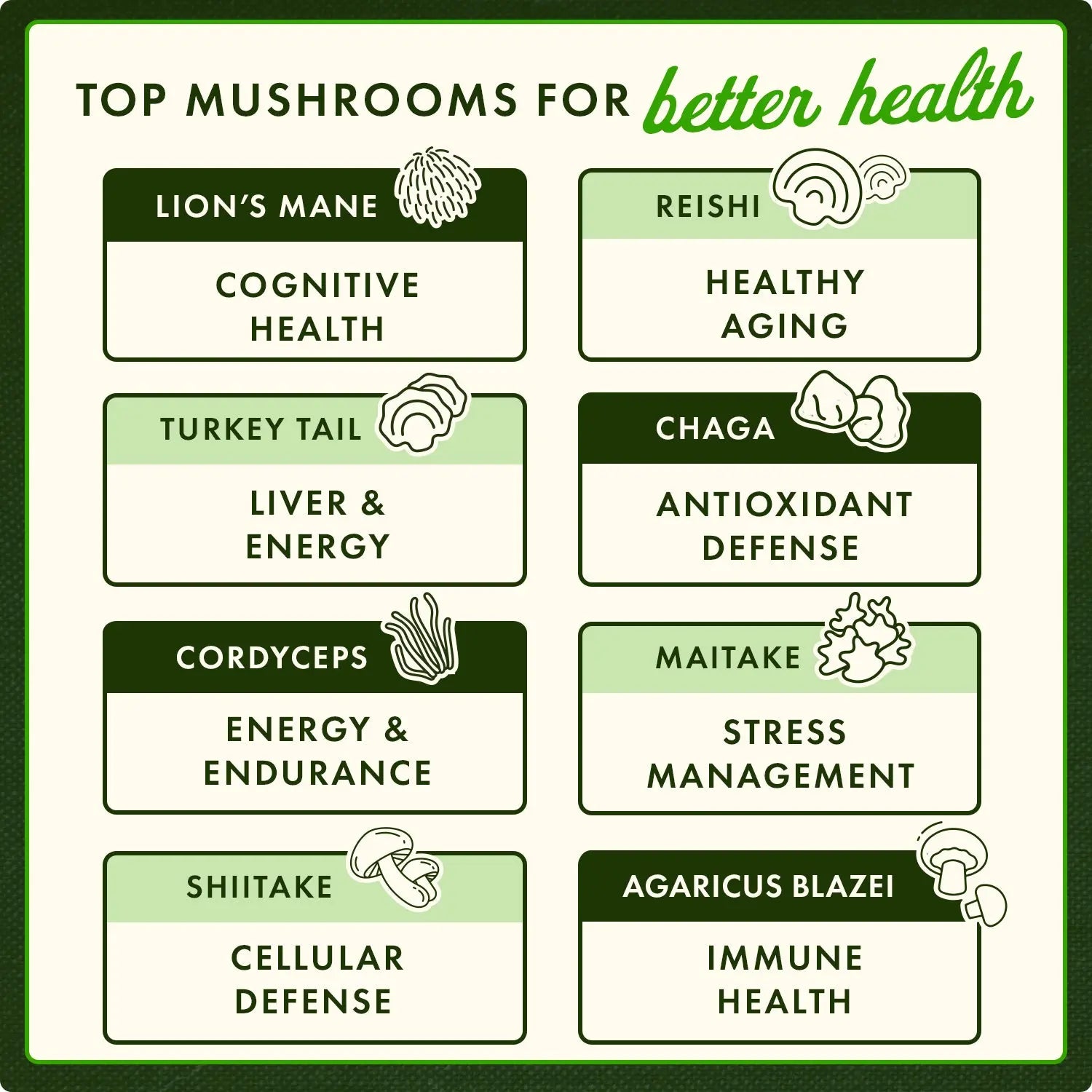 Full Spectrum Lion's Mane Mushroom Swanson Vitamins