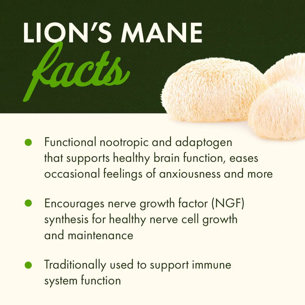 Full Spectrum Lion's Mane Mushroom Swanson Vitamins