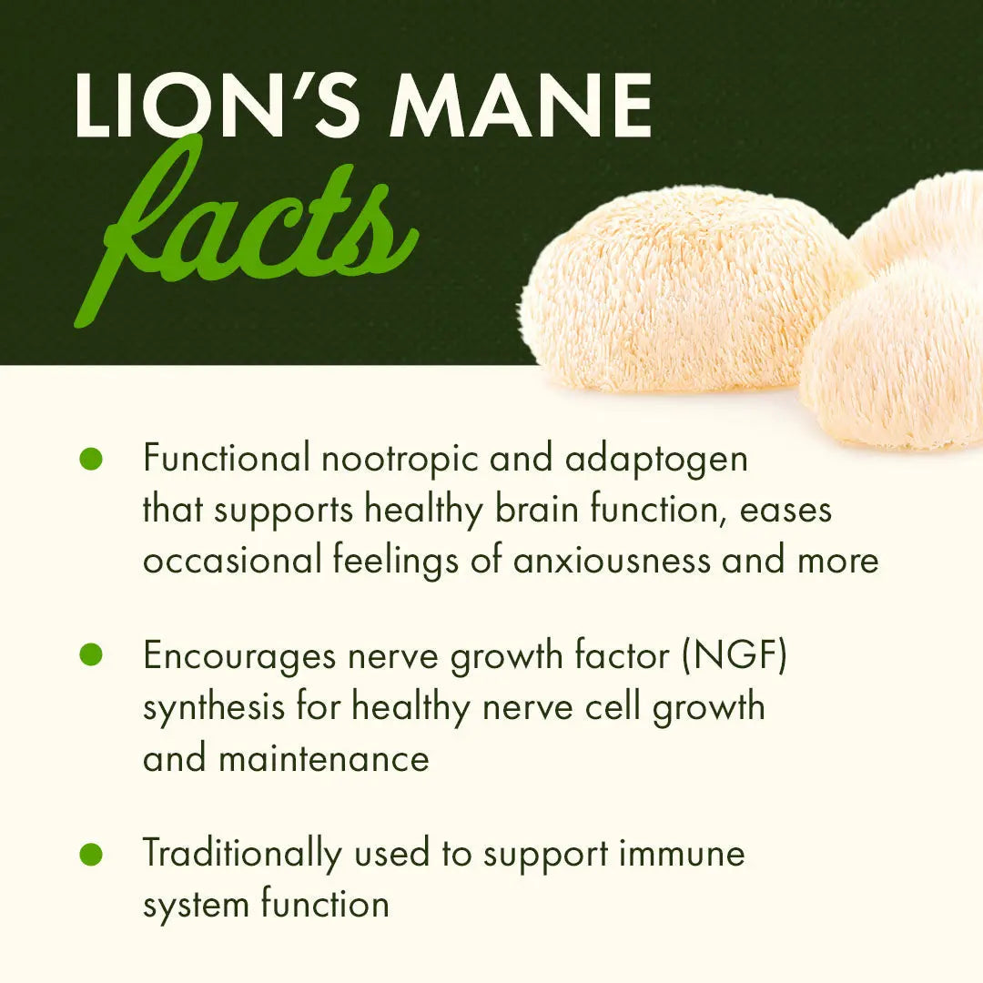 Full Spectrum Lion's Mane Mushroom Swanson Vitamins