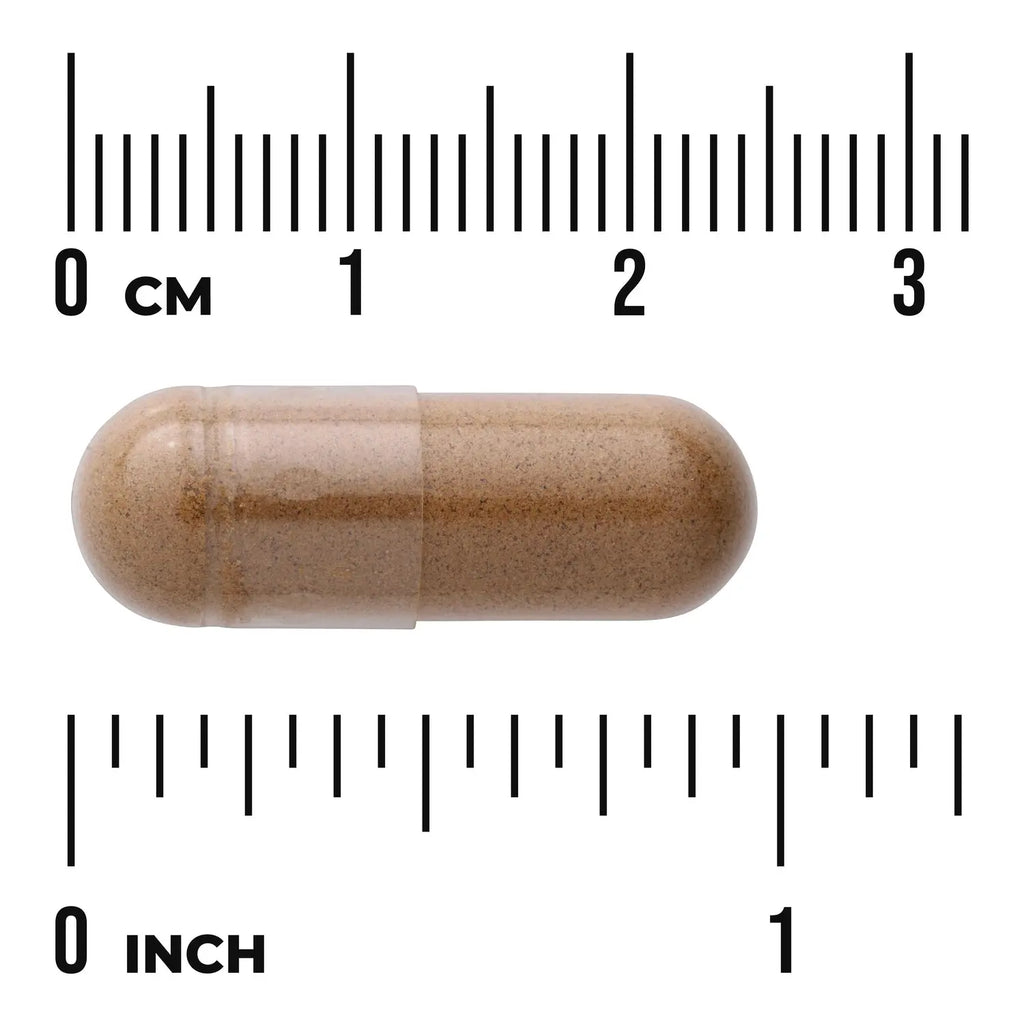 Full Spectrum Lion's Mane Mushroom Swanson Vitamins