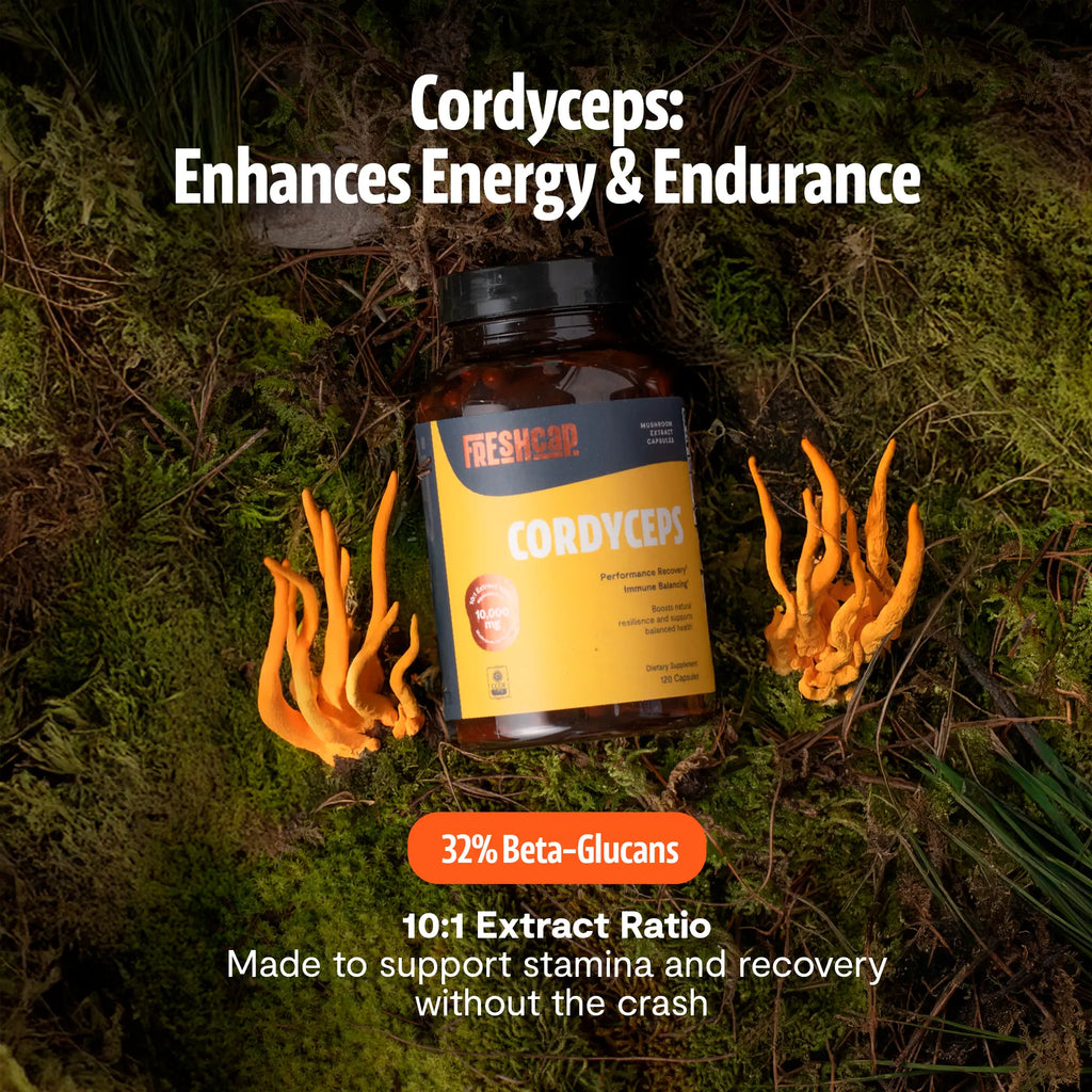 Organic Cordyceps Mushroom Supplement Capsules FreshCap Mushrooms