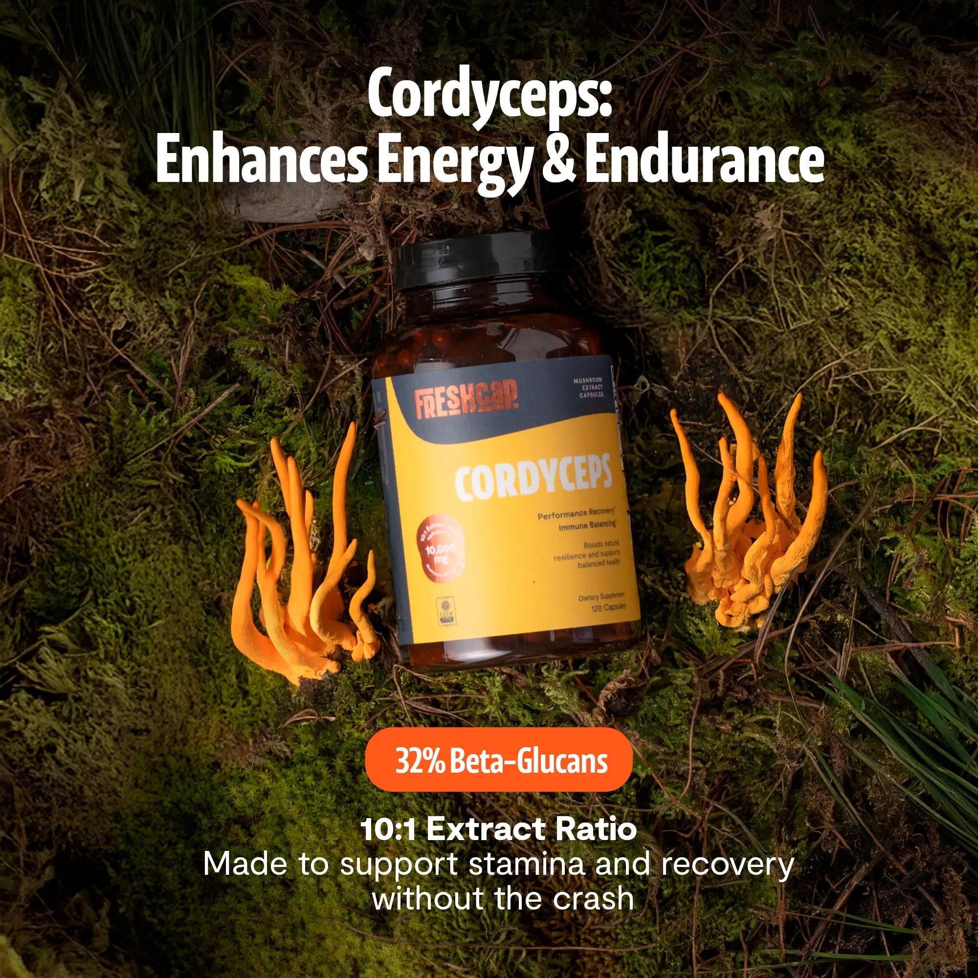 Organic Cordyceps Mushroom Supplement Capsules FreshCap Mushrooms
