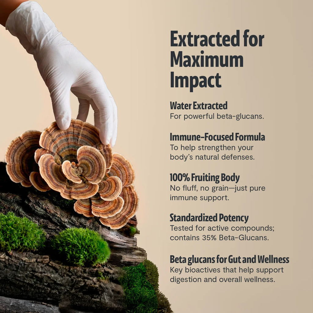 Organic Turkey Tail Mushroom Capsules FreshCap Mushrooms