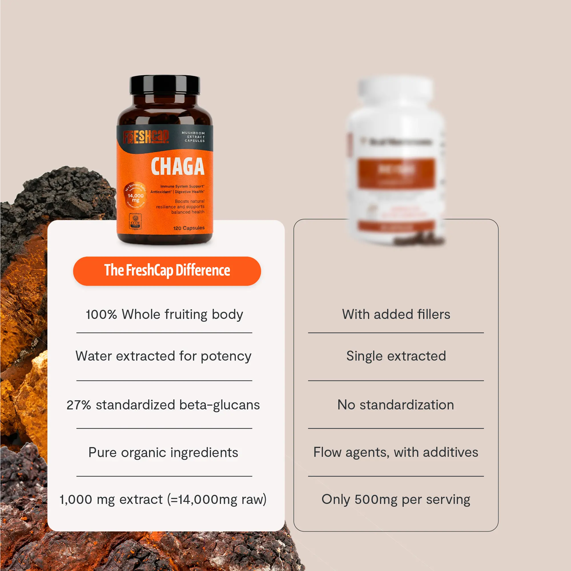 Chaga Mushroom Extract Capsules FreshCap Mushrooms