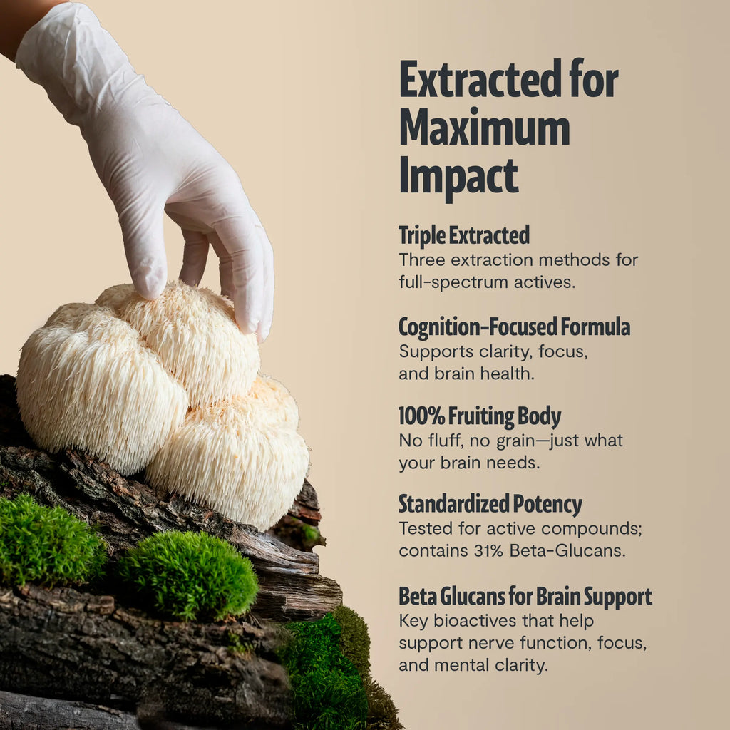 Organic Lion’s Mane Mushroom Powder FreshCap Mushrooms