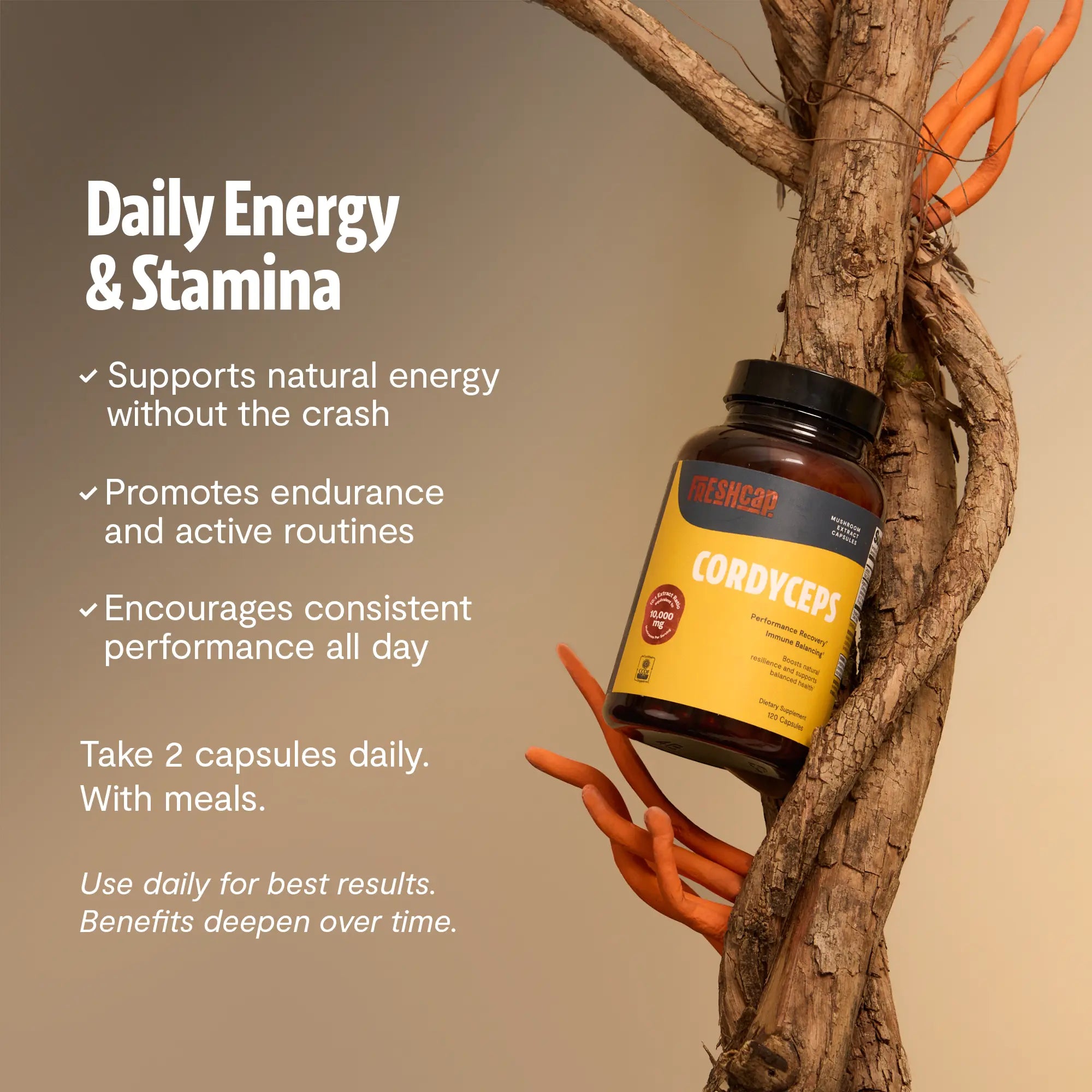 Organic Cordyceps Mushroom Supplement Capsules FreshCap Mushrooms
