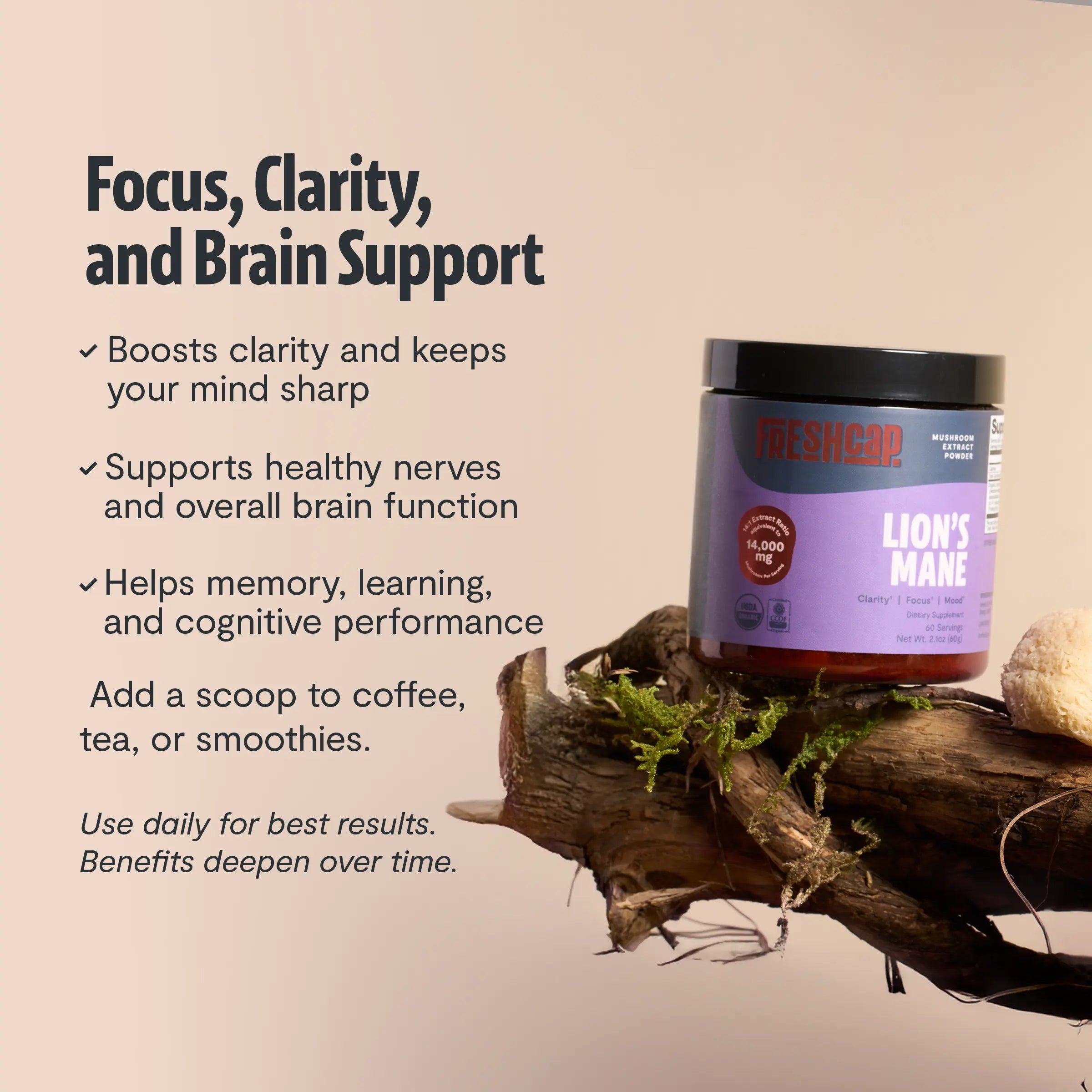 Organic Lion’s Mane Mushroom Powder FreshCap Mushrooms
