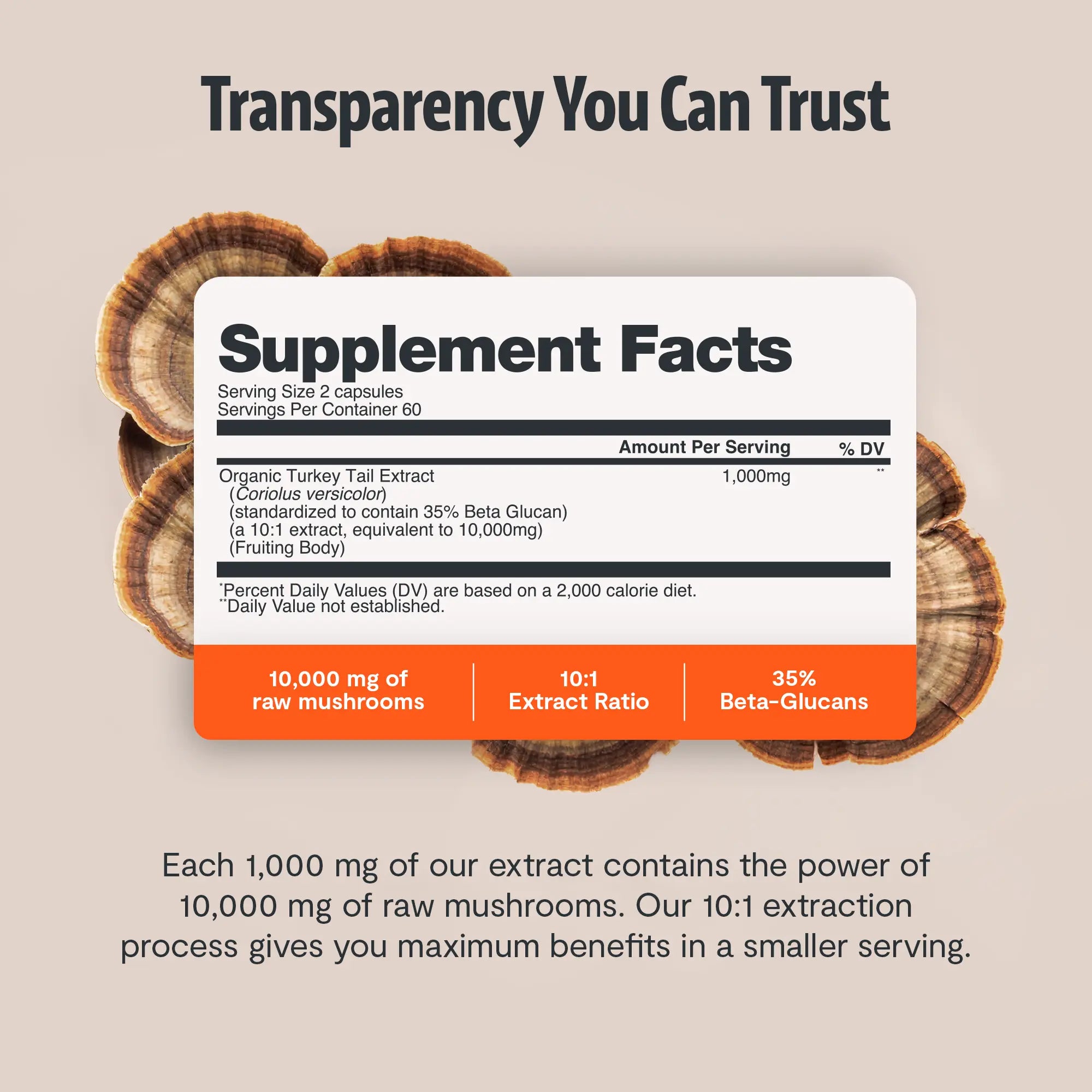 Organic Turkey Tail Mushroom Capsules FreshCap Mushrooms