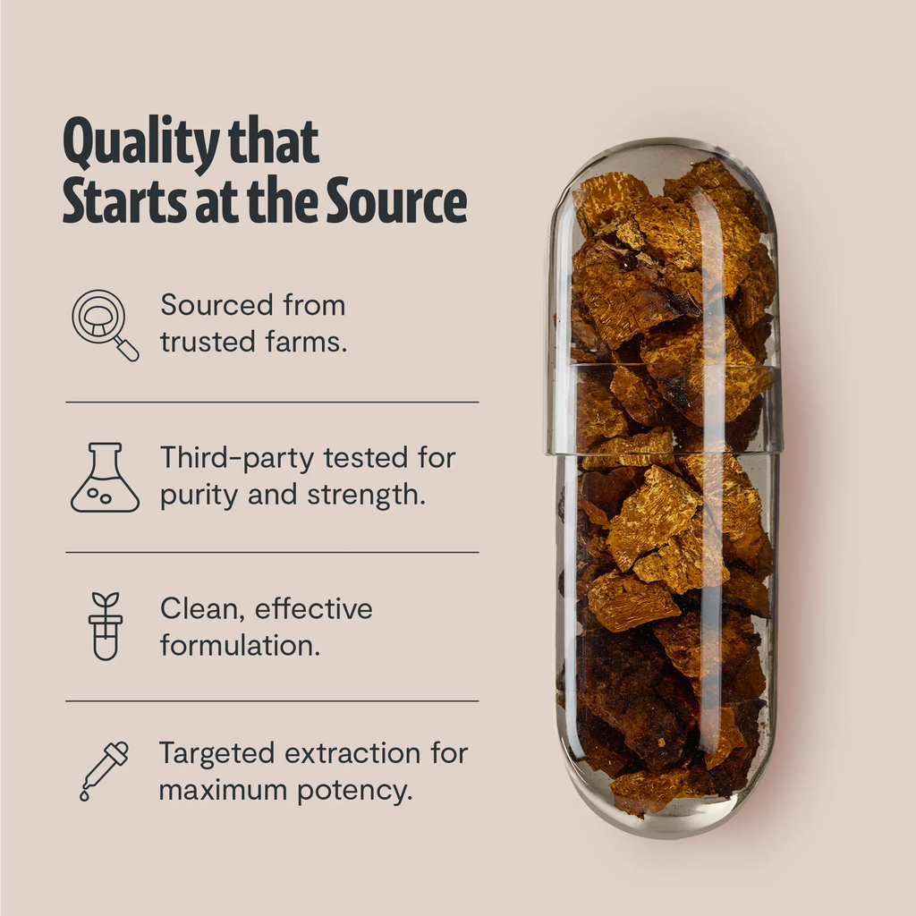 Chaga Mushroom Extract Capsules FreshCap Mushrooms