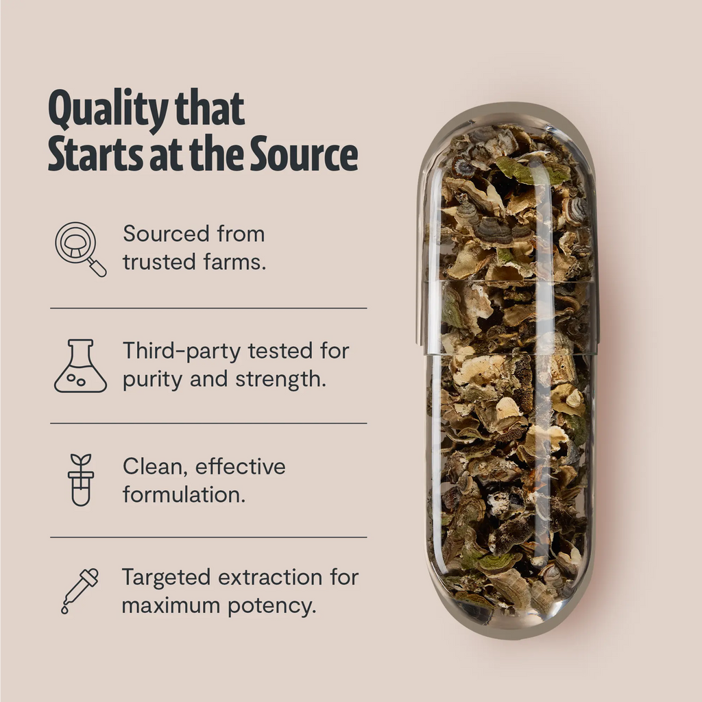 Organic Turkey Tail Mushroom Capsules FreshCap Mushrooms