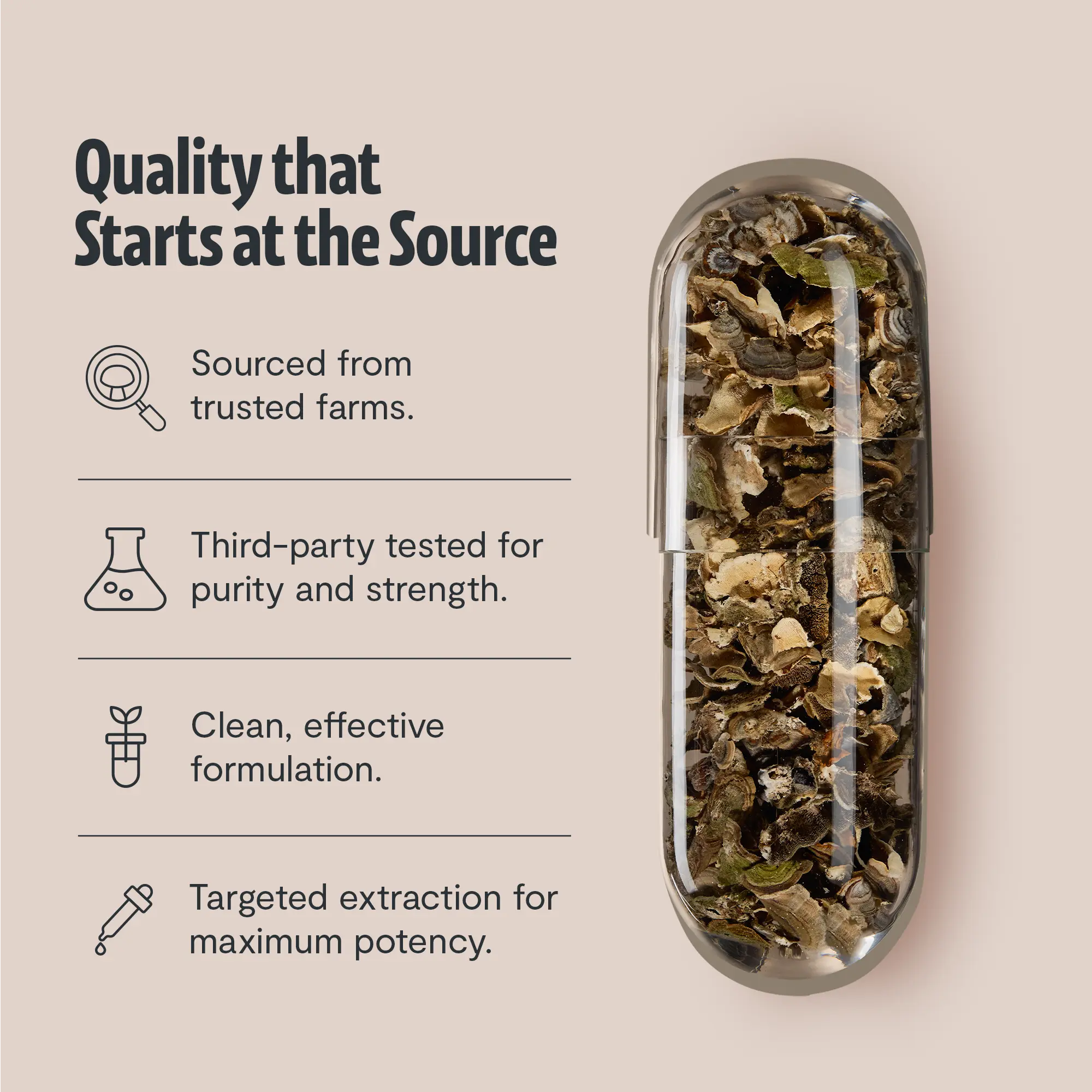 Organic Turkey Tail Mushroom Capsules FreshCap Mushrooms