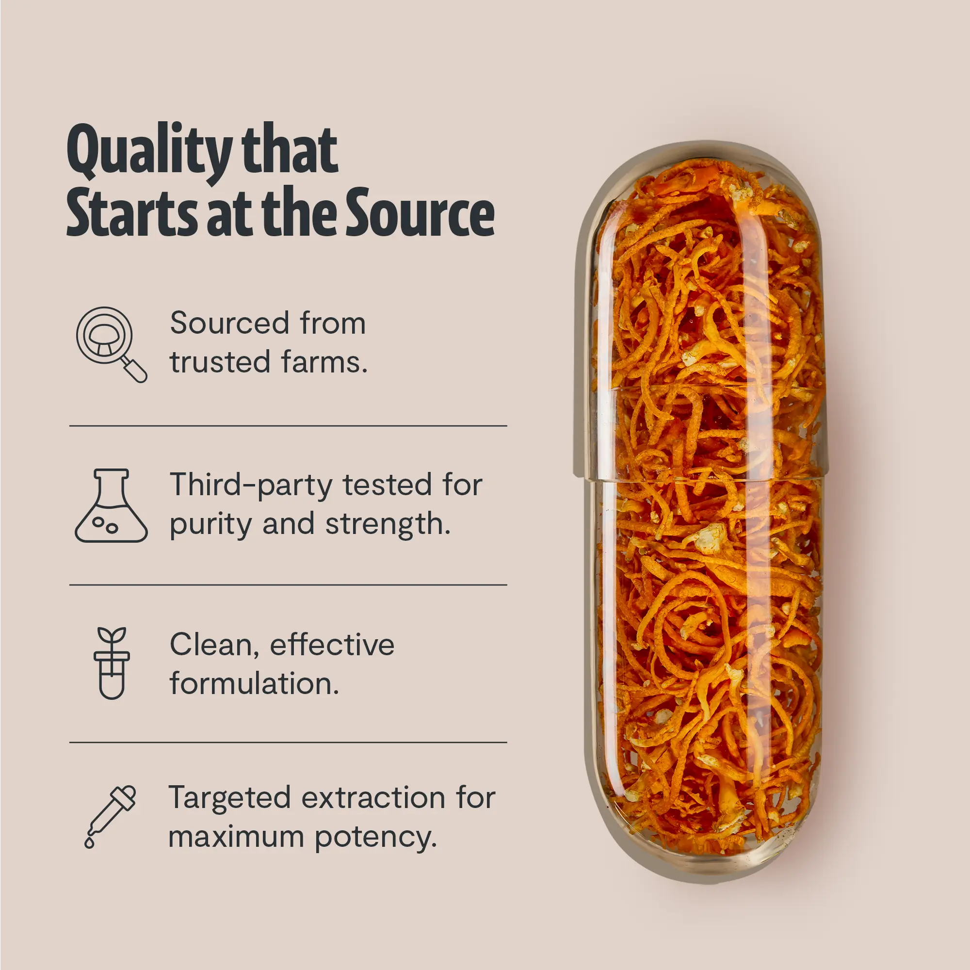 Organic Cordyceps Mushroom Supplement Capsules FreshCap Mushrooms