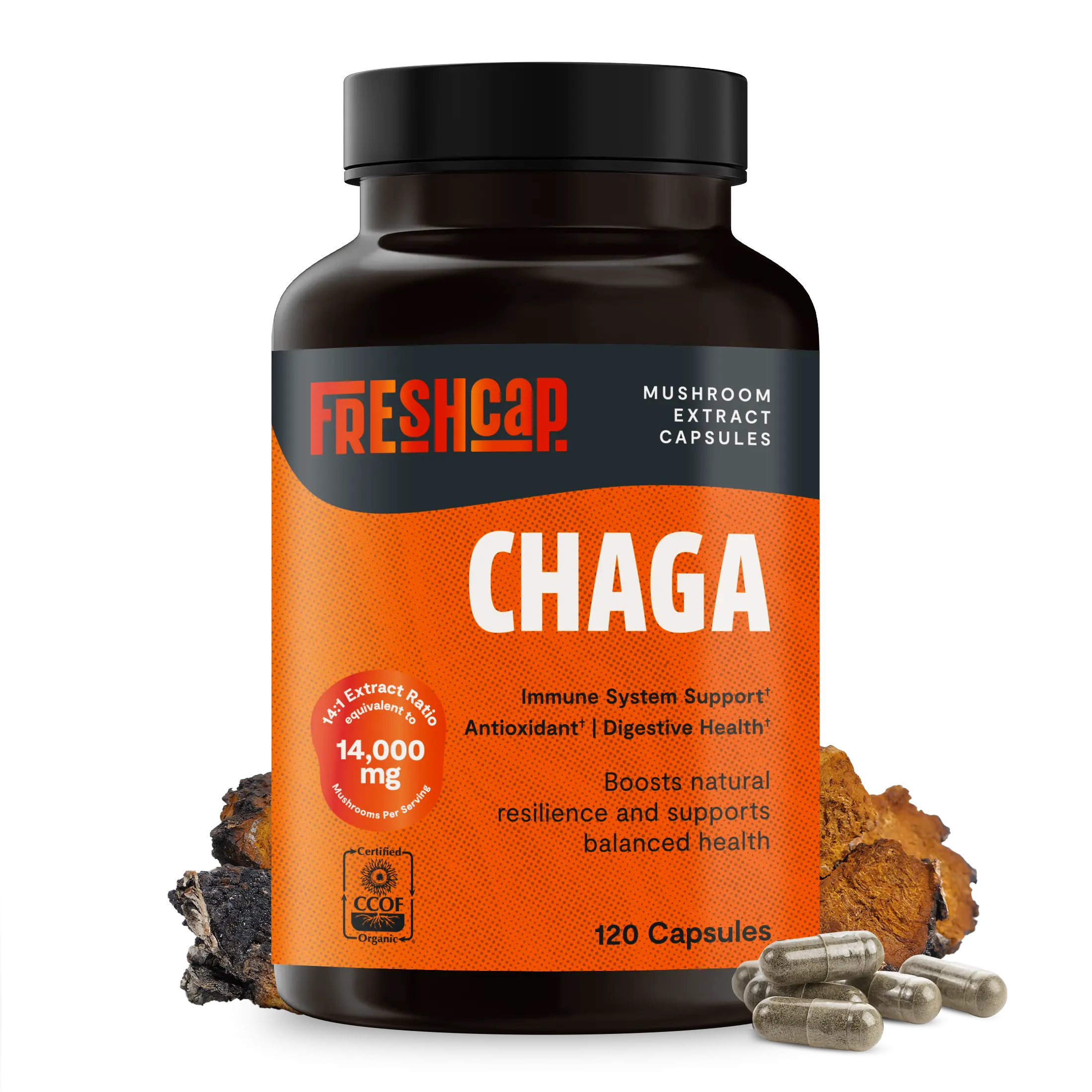 Chaga Mushroom Extract Capsules FreshCap Mushrooms