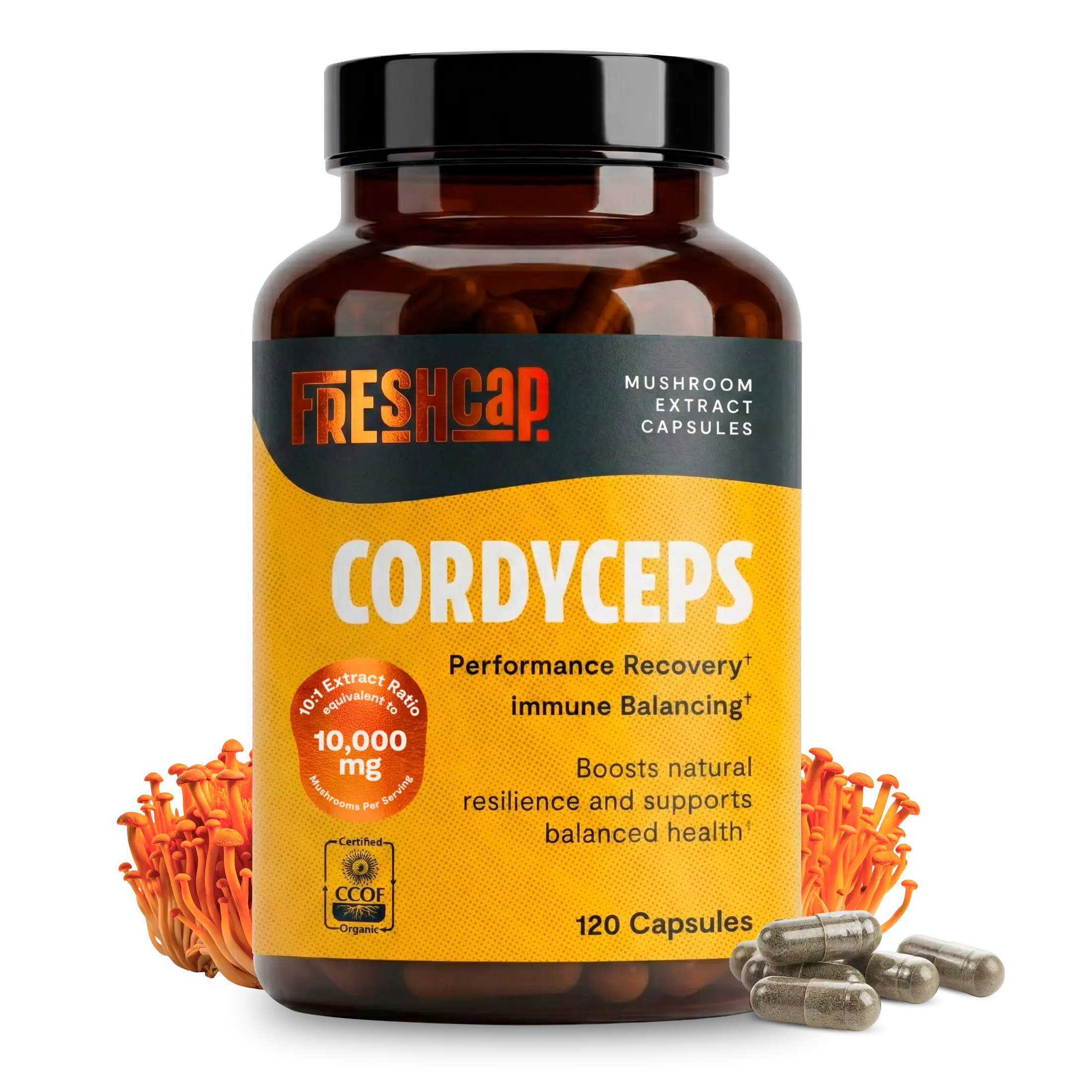 Organic Cordyceps Mushroom Supplement Capsules FreshCap Mushrooms