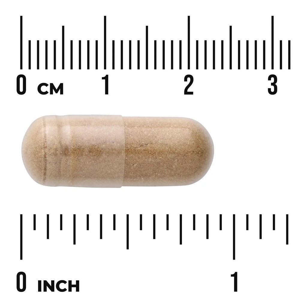 Reishi Mushroom Extract - Standardized Swanson Vitamins