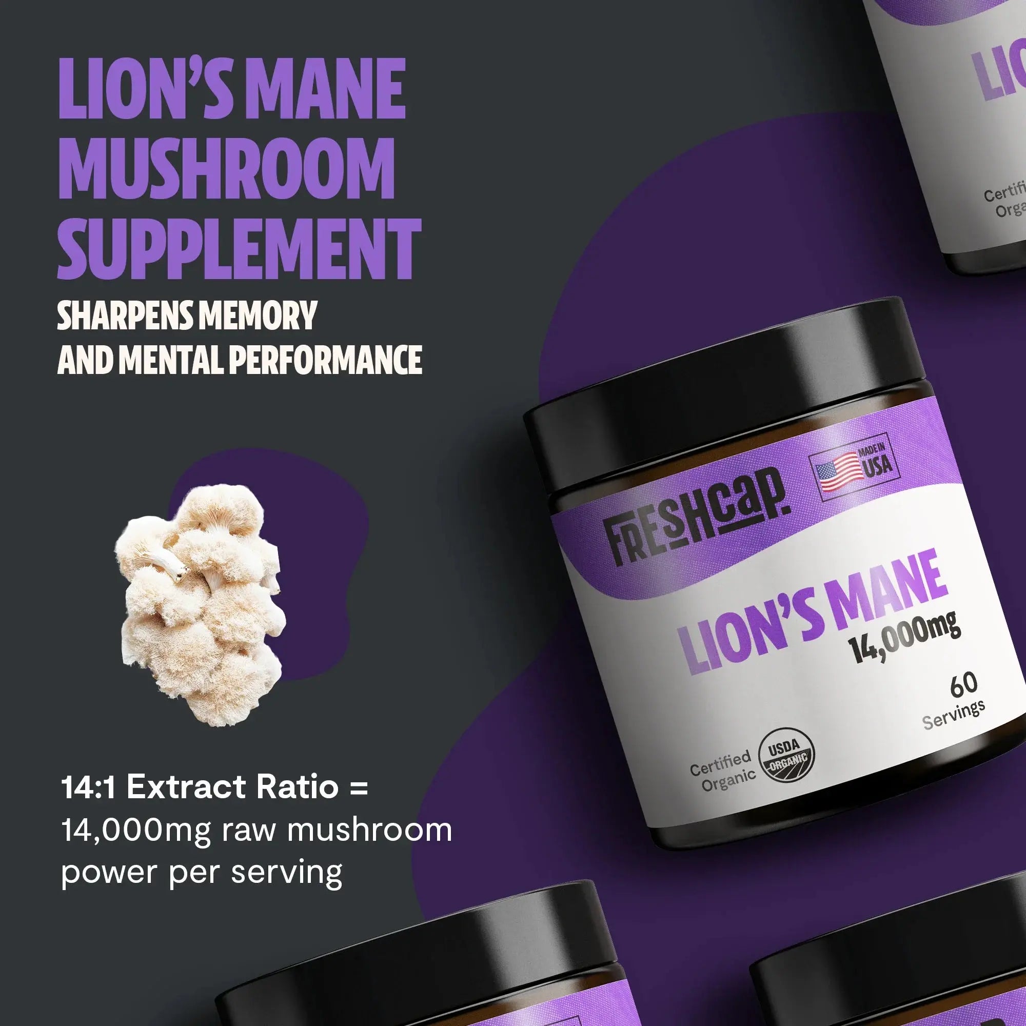 Organic Lion’s Mane Mushroom Powder FreshCap Mushrooms