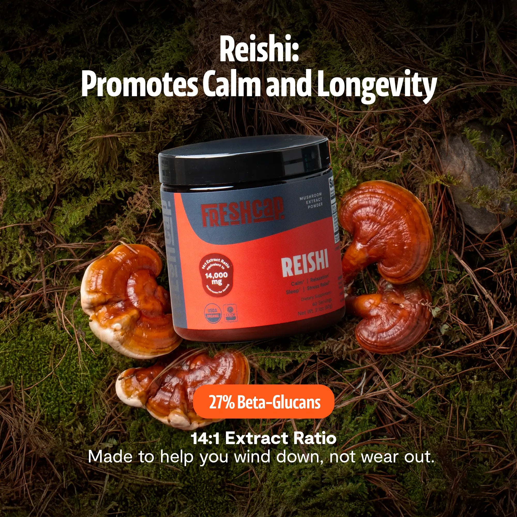 Organic Reishi Mushroom Powder FreshCap Mushrooms