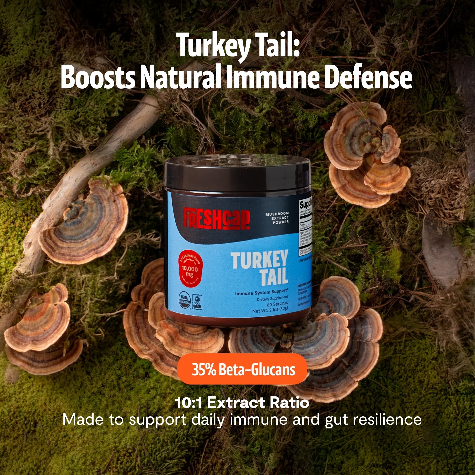 Organic Turkey Tail Mushroom Powder FreshCap Mushrooms