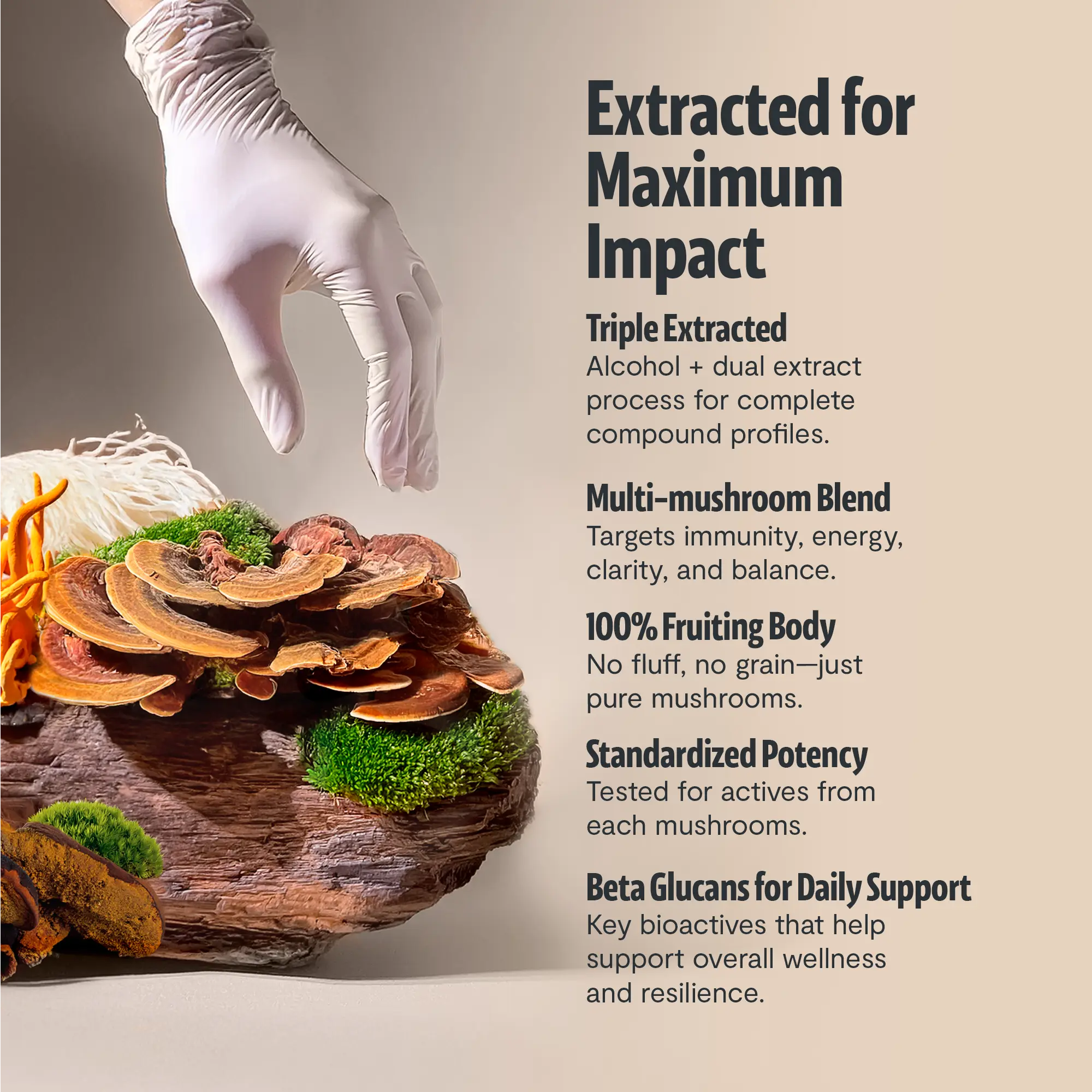Organic Mushroom Complex Supplement Capsules FreshCap Mushrooms