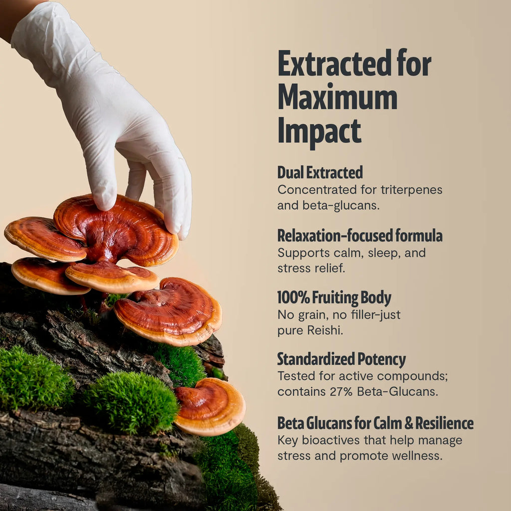 Organic Reishi Mushroom Powder FreshCap Mushrooms