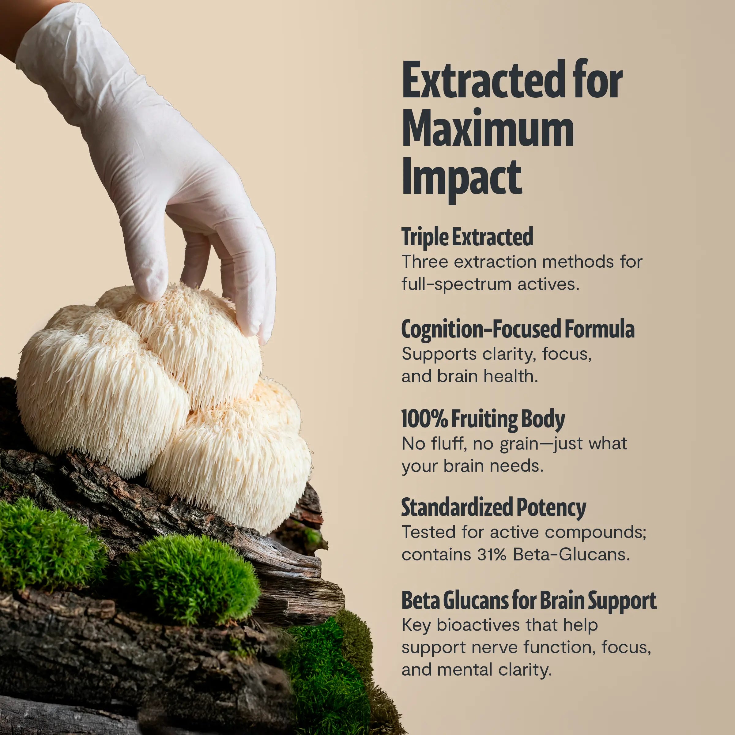 Organic Mushroom Complex Supplement Capsules FreshCap Mushrooms