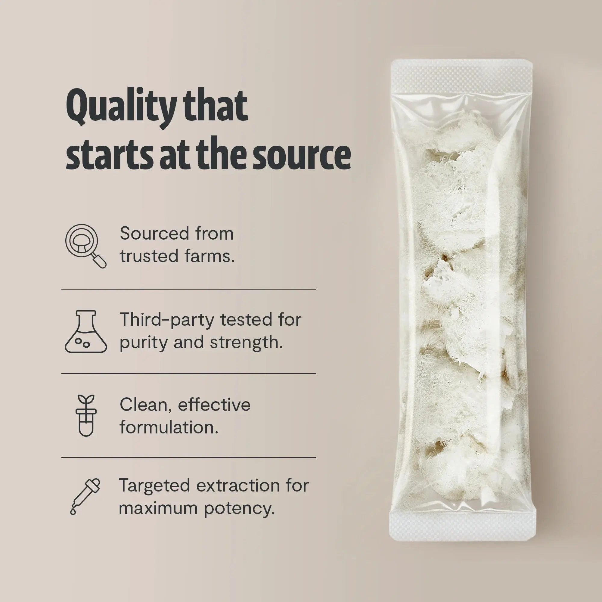 Organic Lion’s Mane Mushroom Powder FreshCap Mushrooms
