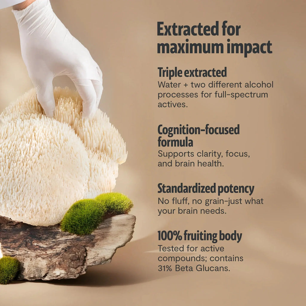 Organic Lion’s Mane Mushroom Powder FreshCap Mushrooms