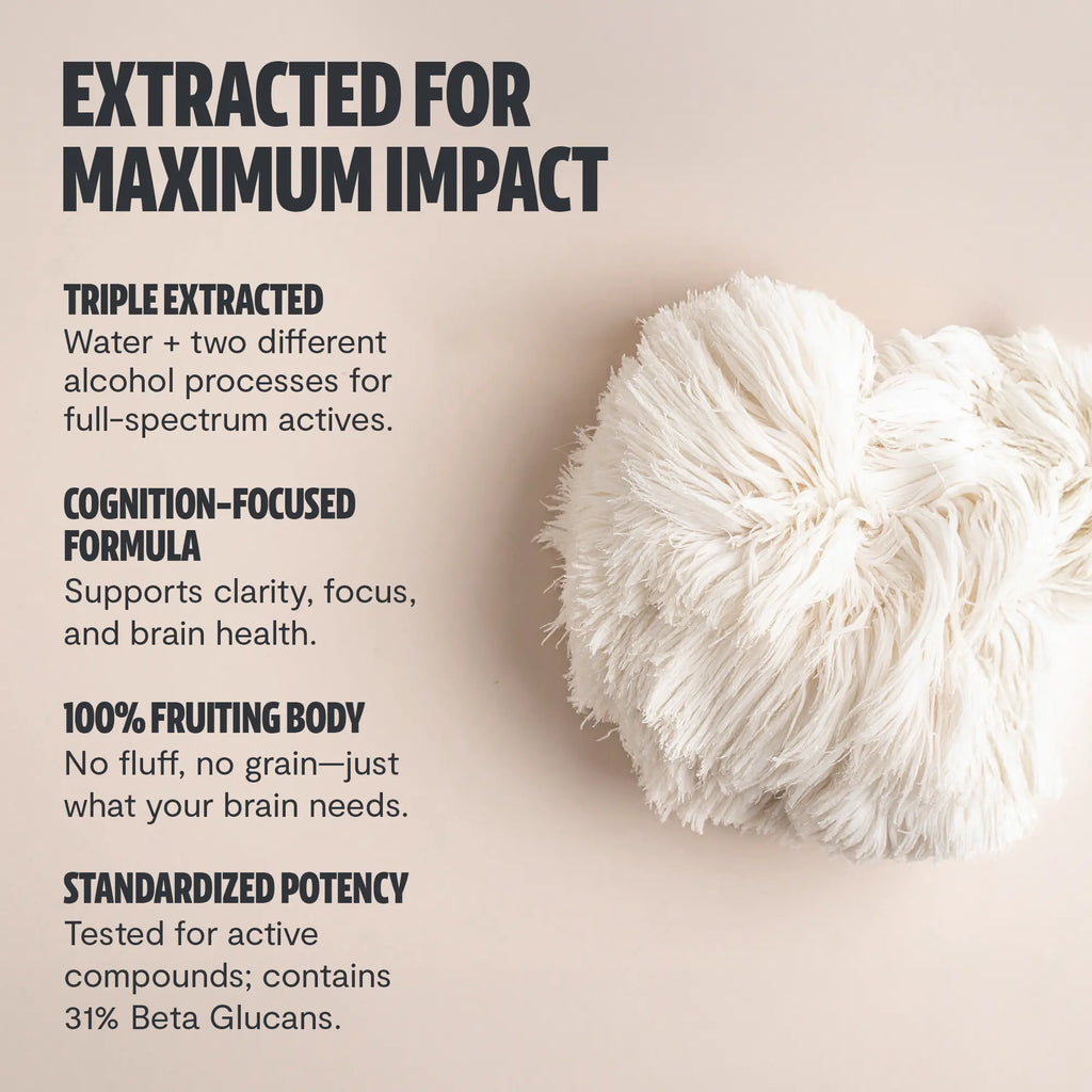 Organic Lion’s Mane Mushroom Powder FreshCap Mushrooms