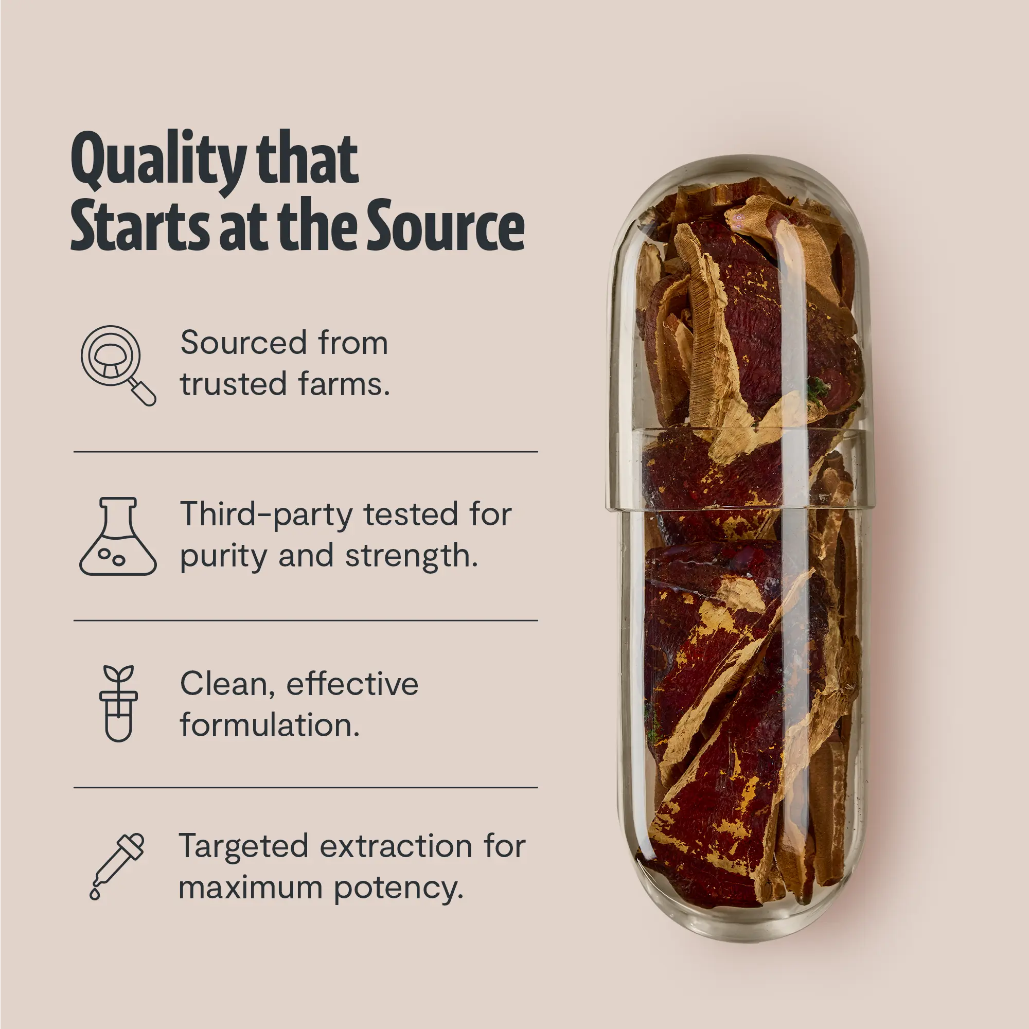 Organic Reishi Mushroom Capsules FreshCap Mushrooms