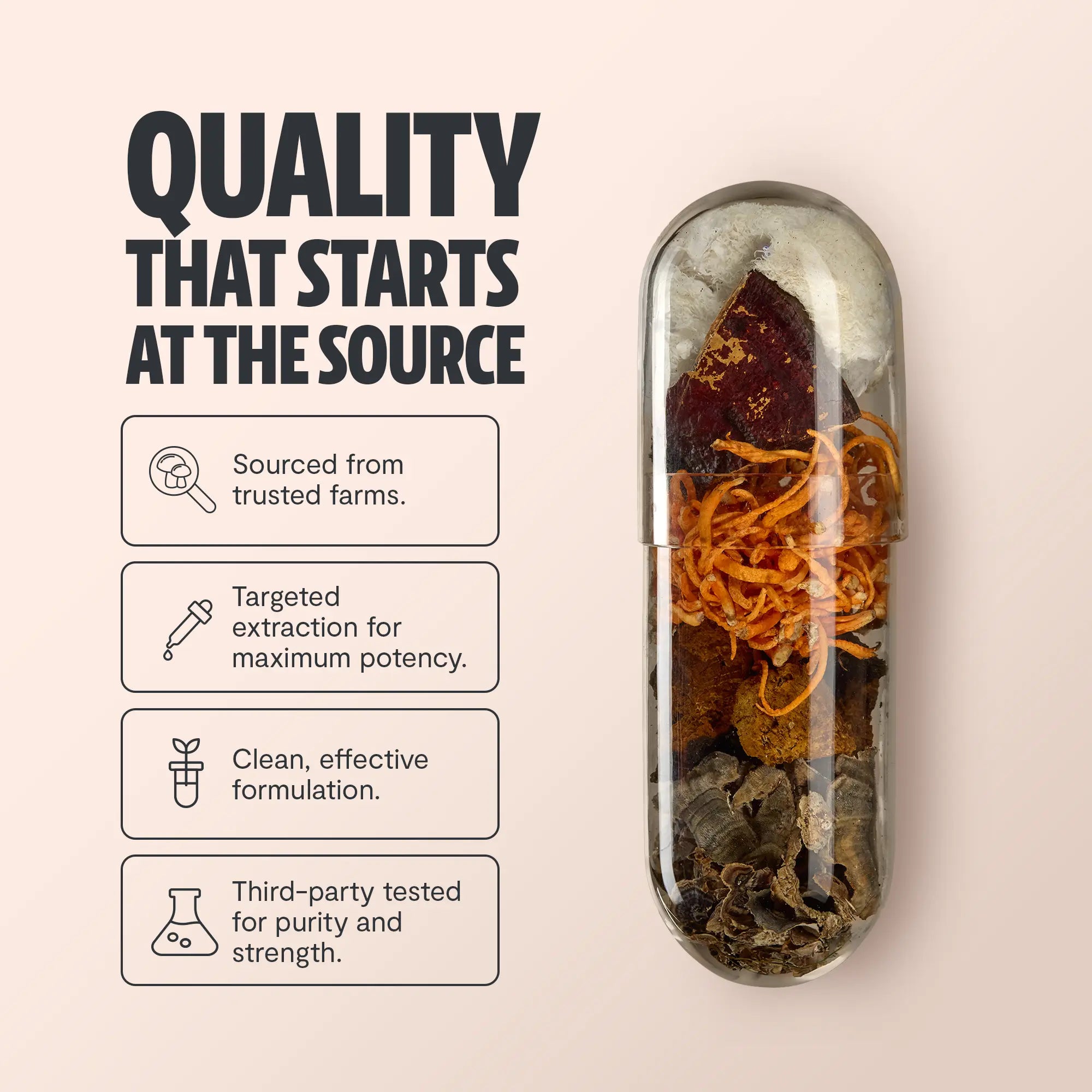 Organic Mushroom Complex Supplement Capsules FreshCap Mushrooms