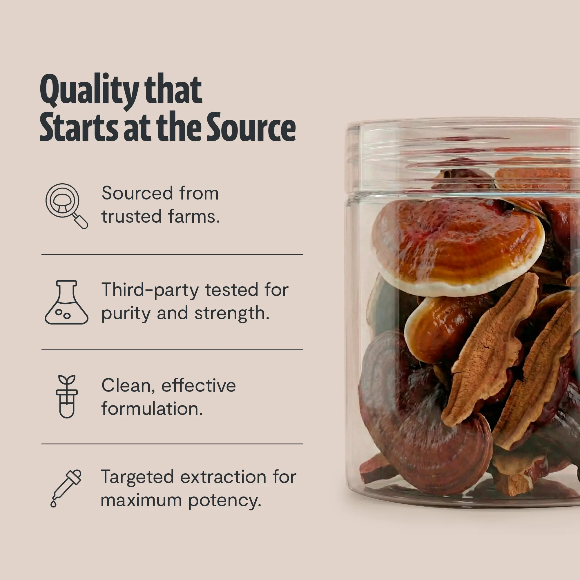 Organic Reishi Mushroom Powder FreshCap Mushrooms