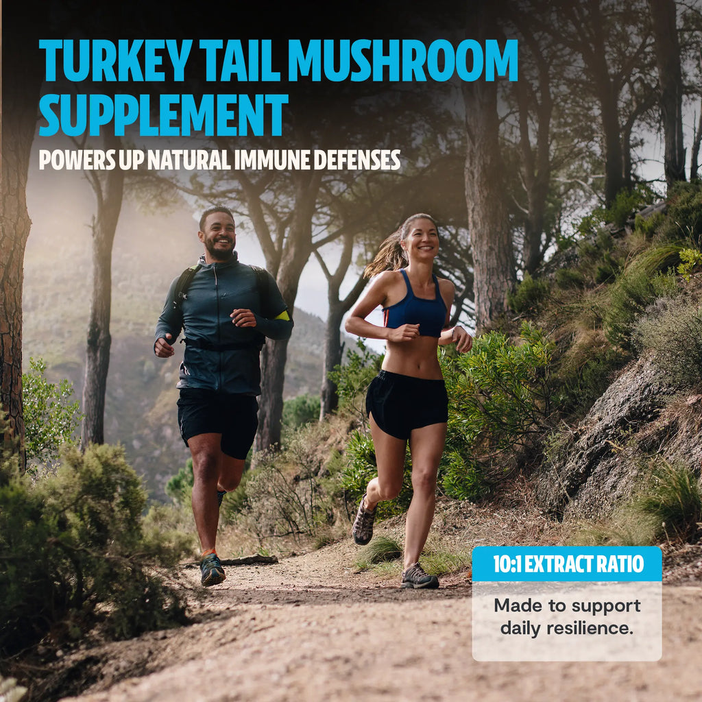 Organic Turkey Tail Mushroom Capsules FreshCap Mushrooms