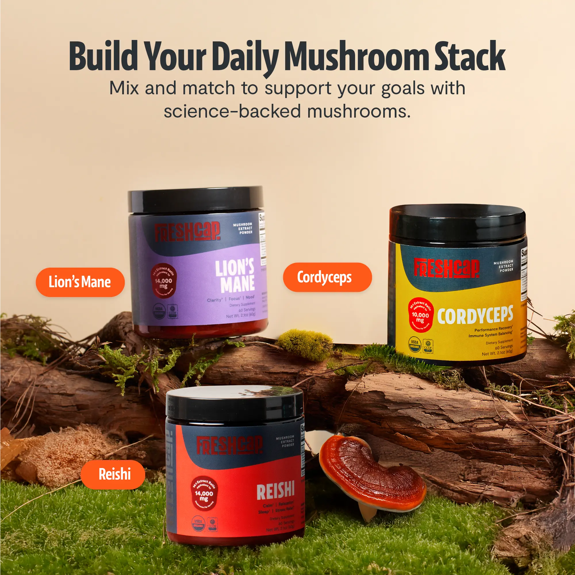 Organic Reishi Mushroom Powder FreshCap Mushrooms