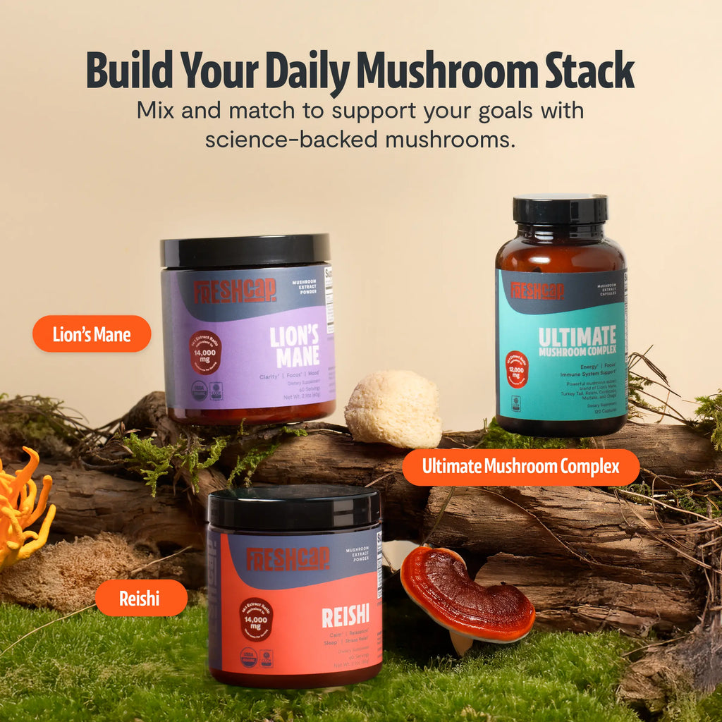 Organic Lion’s Mane Mushroom Powder FreshCap Mushrooms