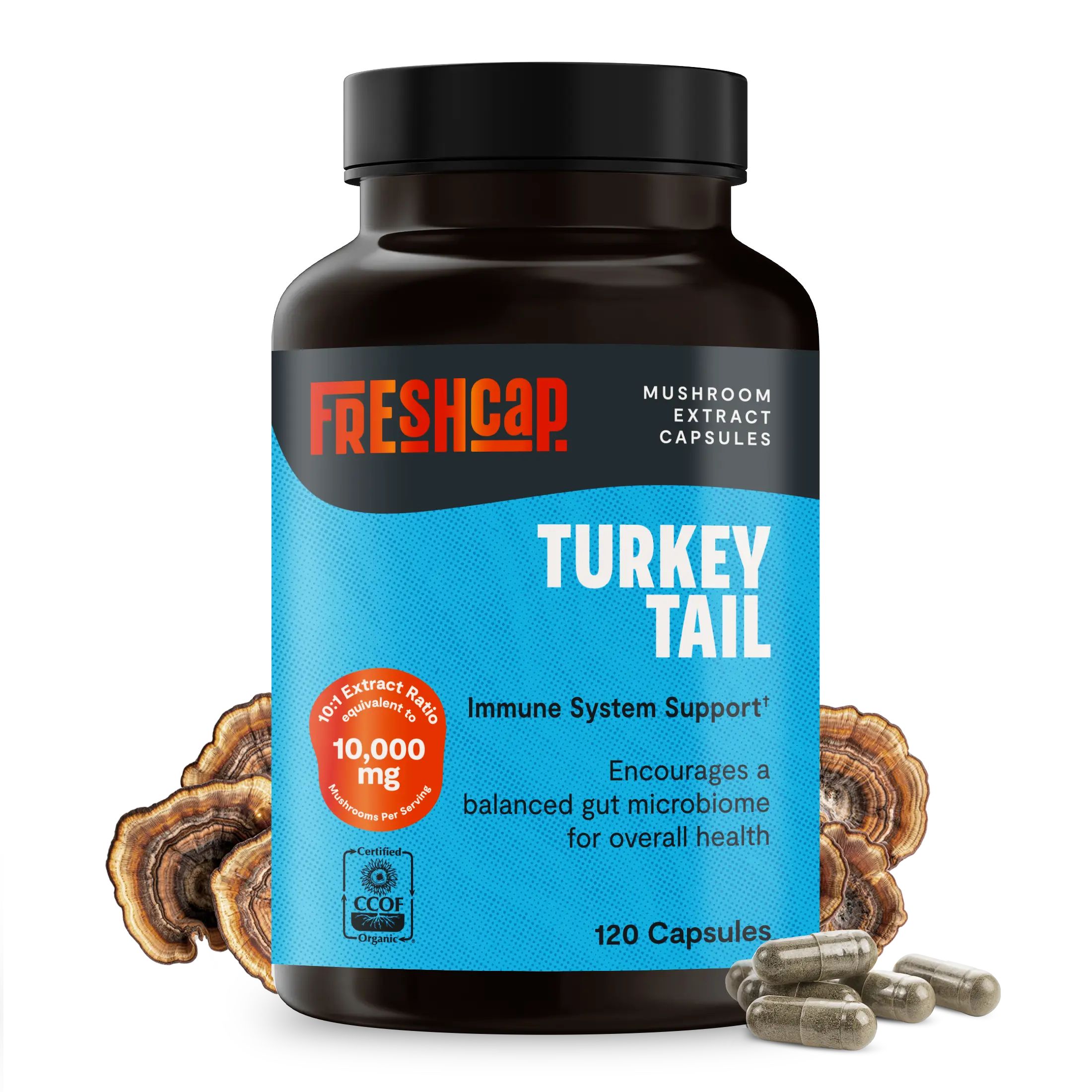 Organic Turkey Tail Mushroom Capsules FreshCap Mushrooms